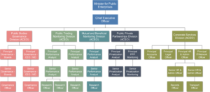 Ministry for Public Enterprises Organisational Structure small
